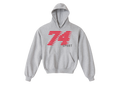 Collegiate Sport Hoodie